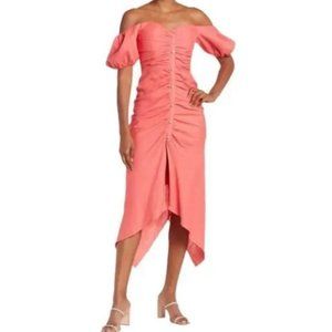 Ronny Kobo Stevie Puff Sleeve Ruched Dress